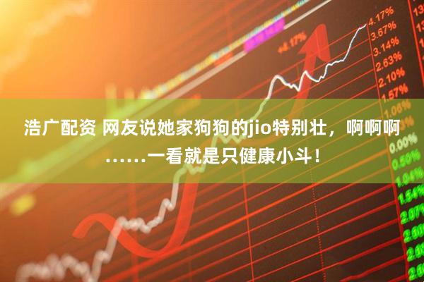 浩广配资 网友说她家狗狗的jio特别壮，啊啊啊……一看就是只健康小斗！