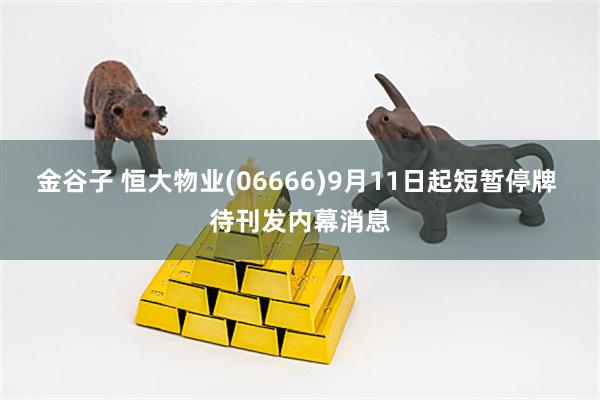 金谷子 恒大物业(06666)9月11日起短暂停牌 待刊发内幕消息