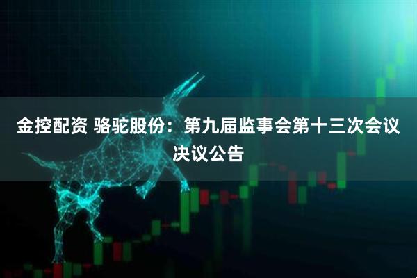 金控配资 骆驼股份：第九届监事会第十三次会议决议公告