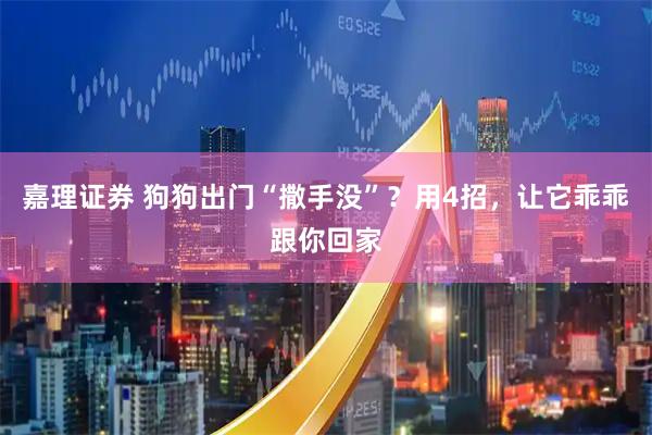 嘉理证券 狗狗出门“撒手没”？用4招，让它乖乖跟你回家