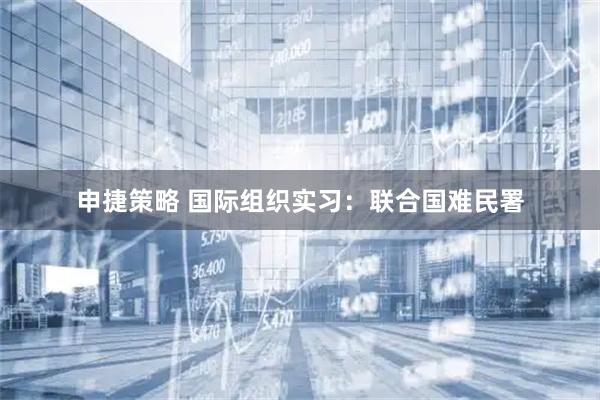 申捷策略 国际组织实习：联合国难民署