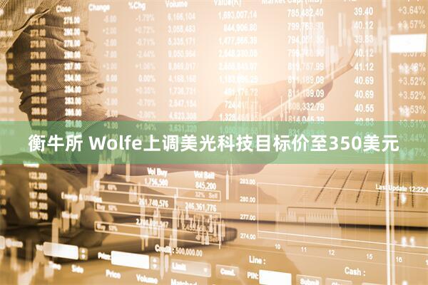 衡牛所 Wolfe上调美光科技目标价至350美元